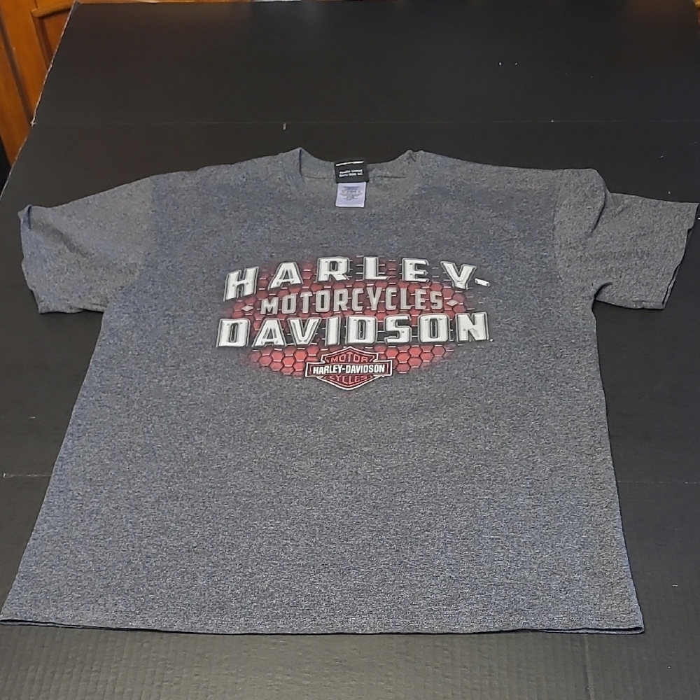 Harley-Davidson Gray Men's T-Shirt Size L NIAGRA FALLS